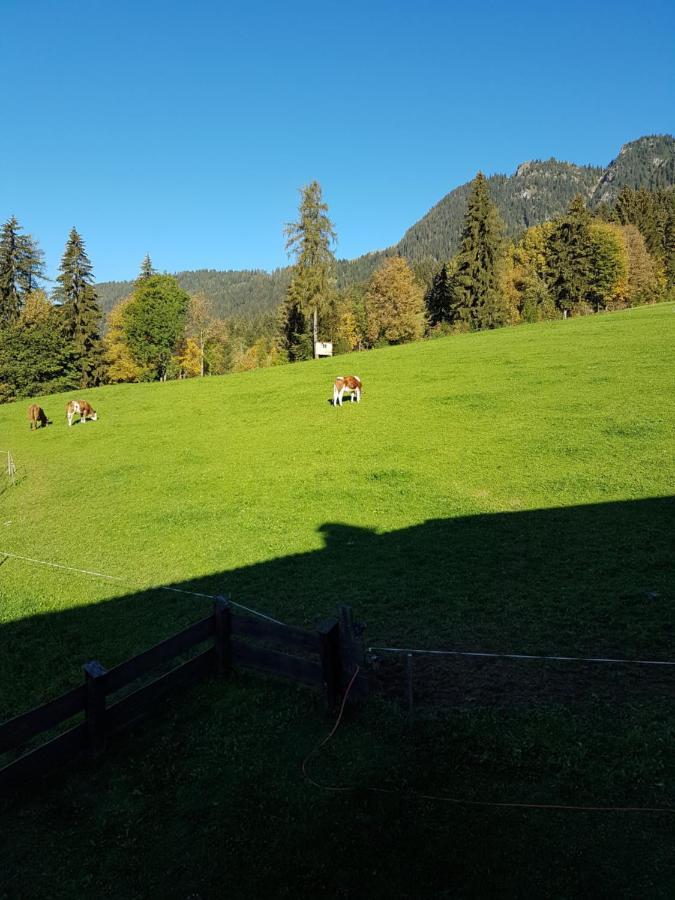 Haus Theresia Alpbach Esterno foto