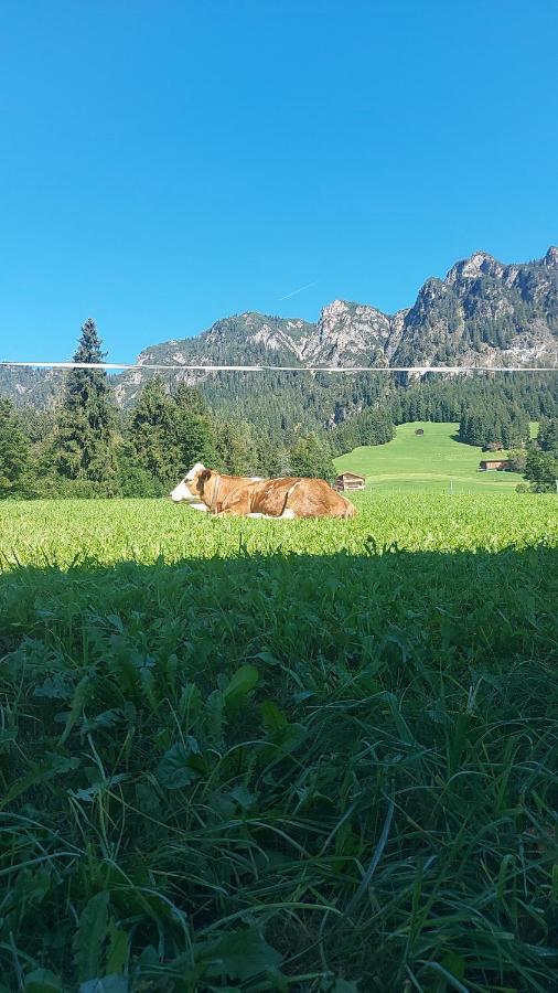 Haus Theresia Alpbach Bed and Breakfast Esterno foto