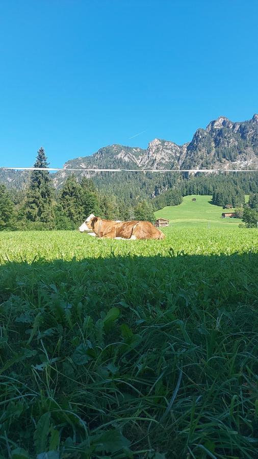 Haus Theresia Alpbach Esterno foto