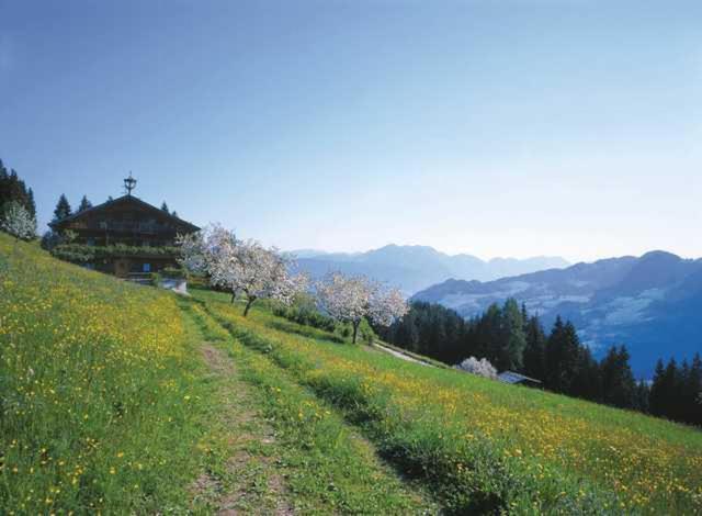 Haus Theresia Alpbach Esterno foto
