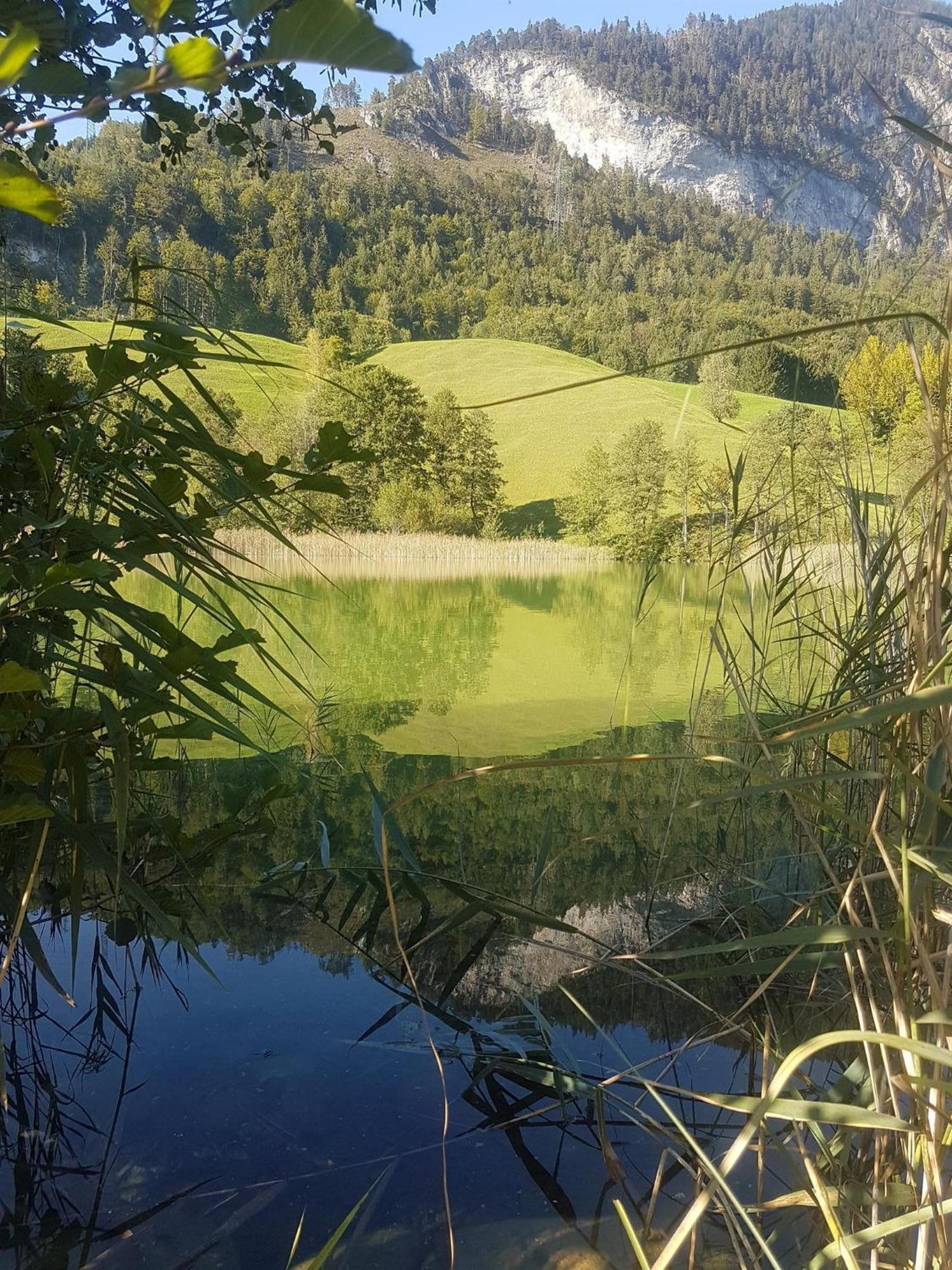 Haus Theresia Alpbach Esterno foto